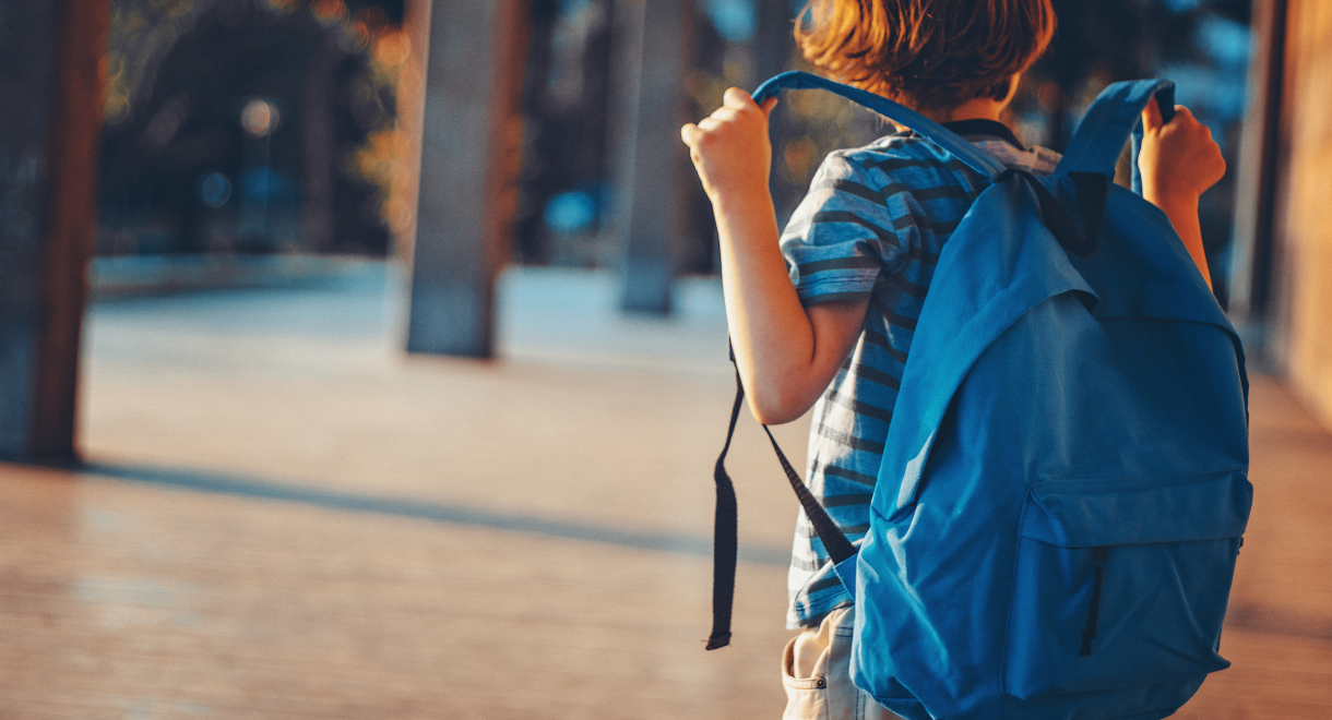 Attending school without learning